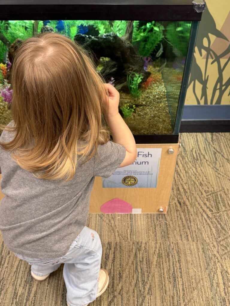 Toddler looking at a fish tank during a library outing, one of our favorite toddler activities outside the house.